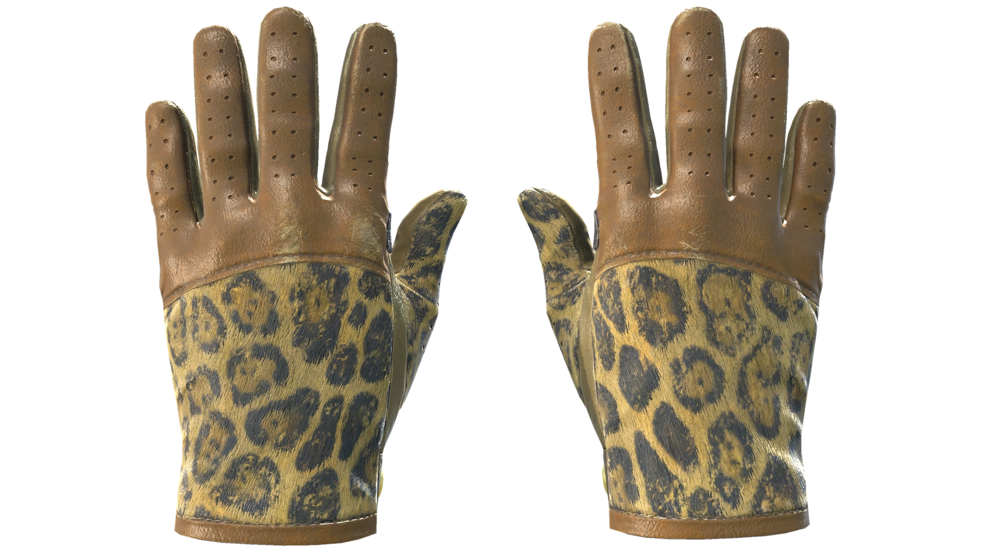 Queen Jaguar image