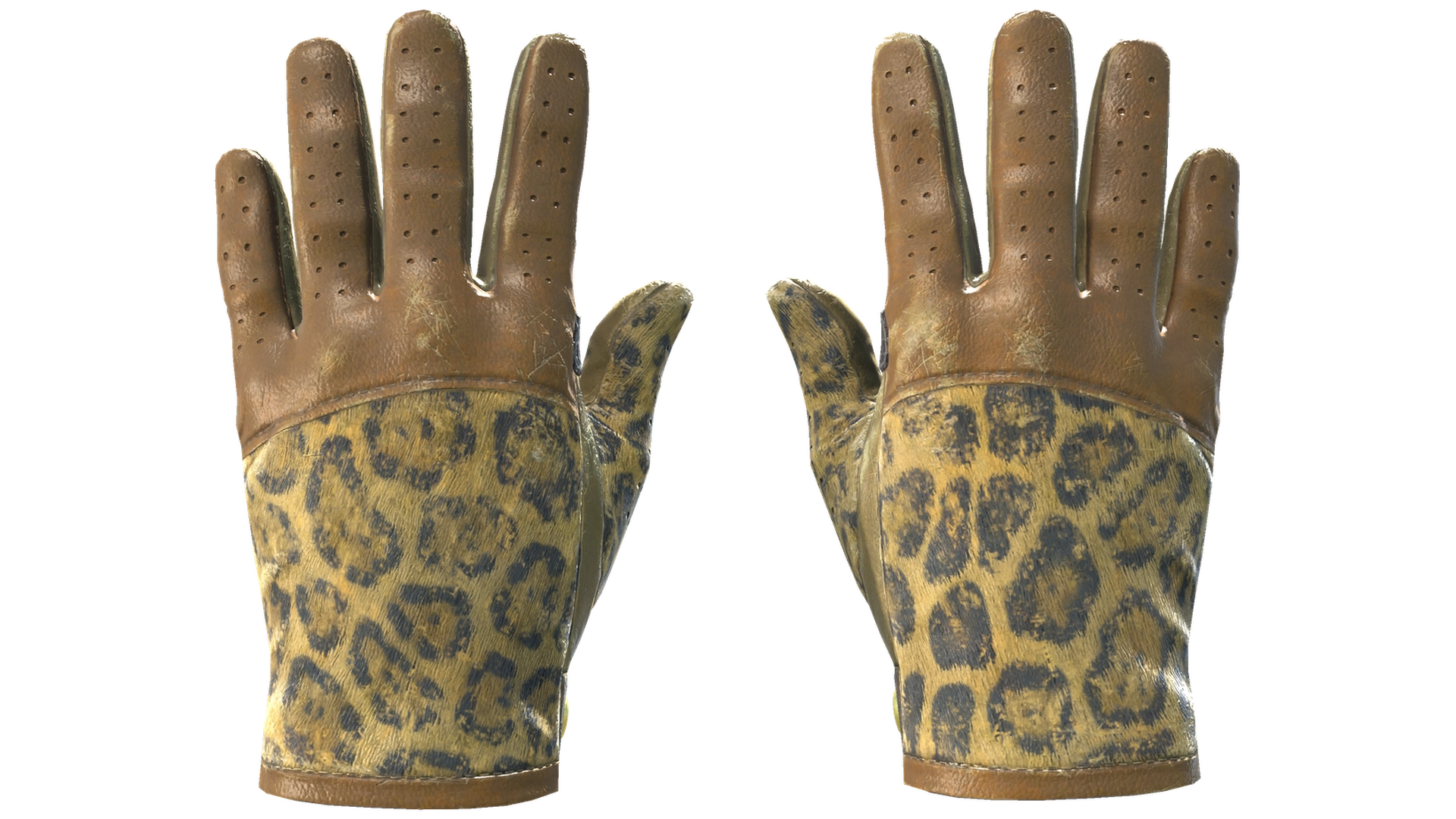 Queen Jaguar image