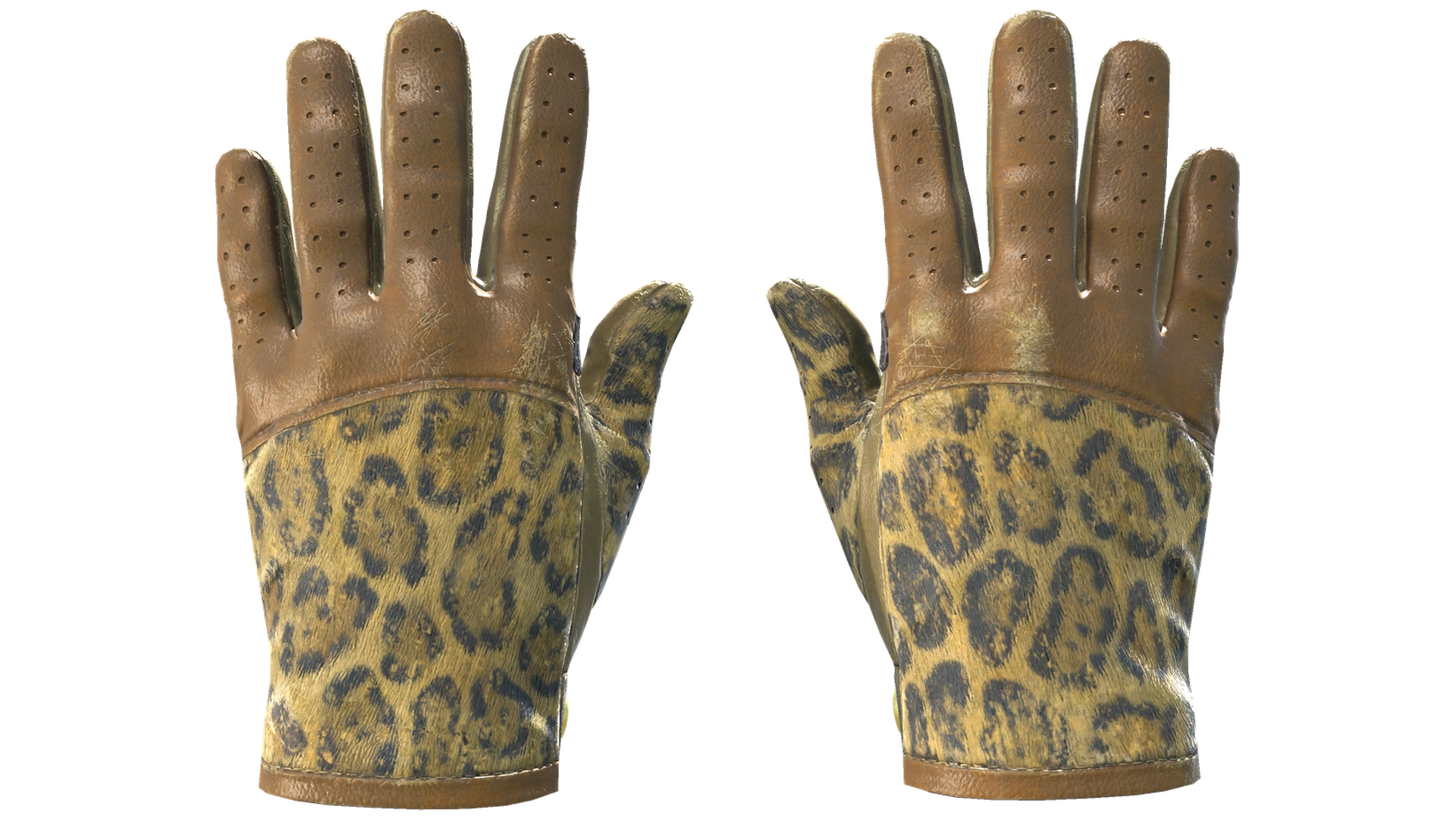 Queen Jaguar image