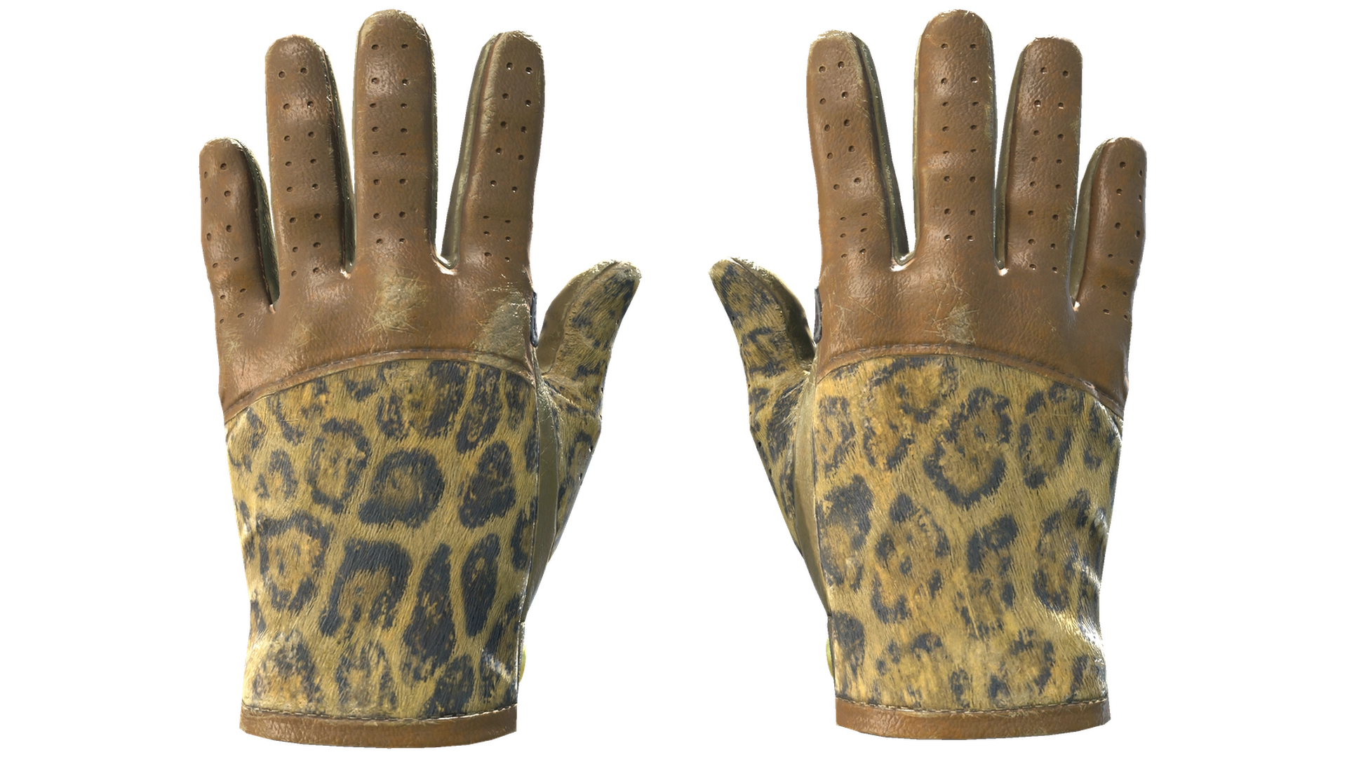 Queen Jaguar image