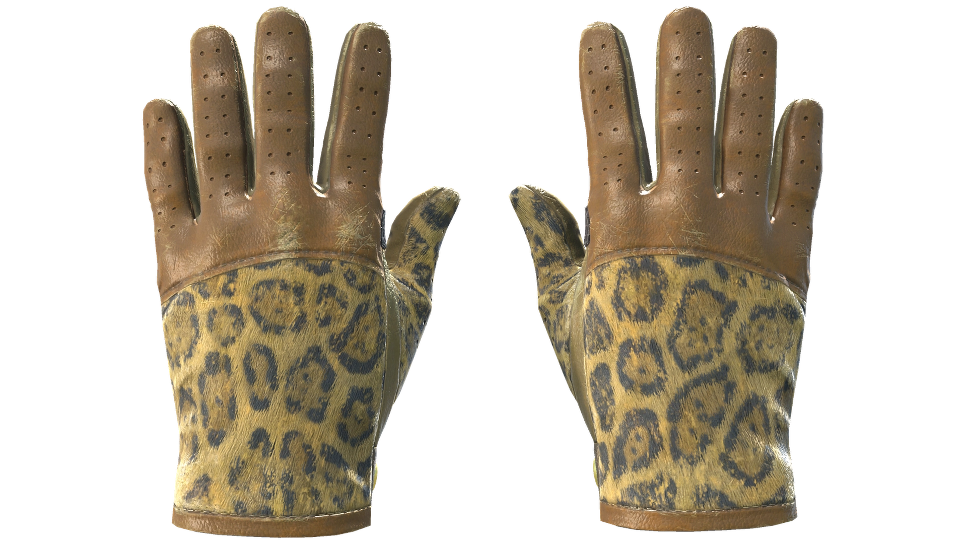 Queen Jaguar image
