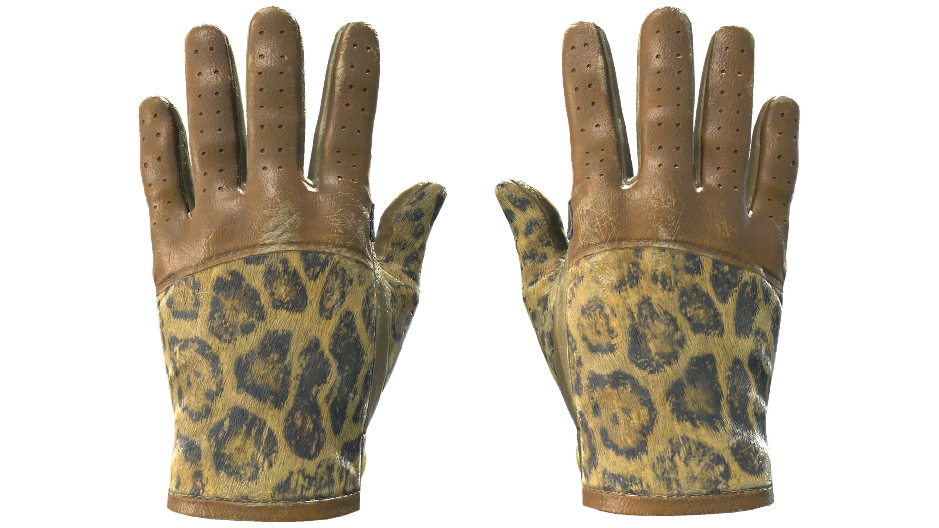 Queen Jaguar image