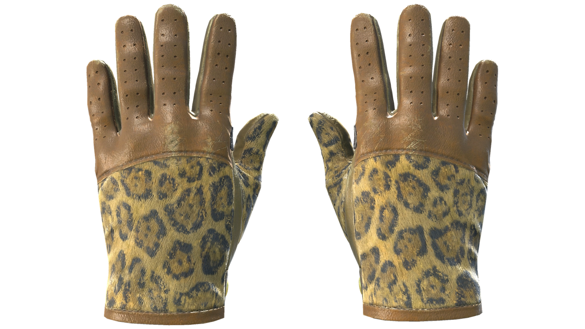 Queen Jaguar image