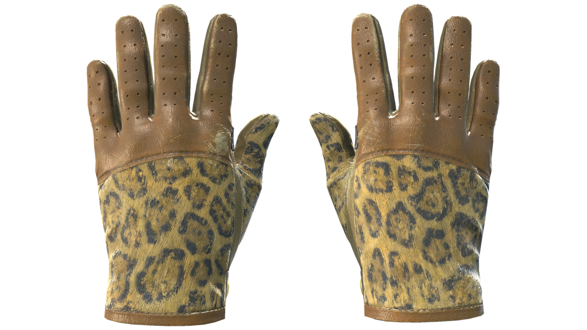 Queen Jaguar image