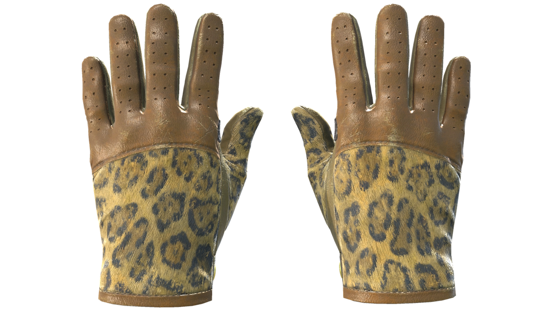 Queen Jaguar image