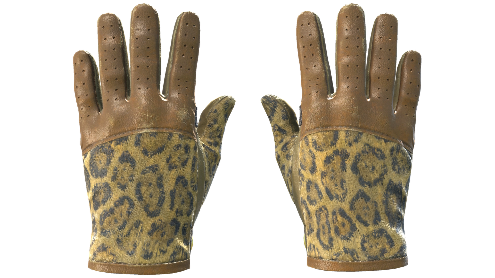 Queen Jaguar image