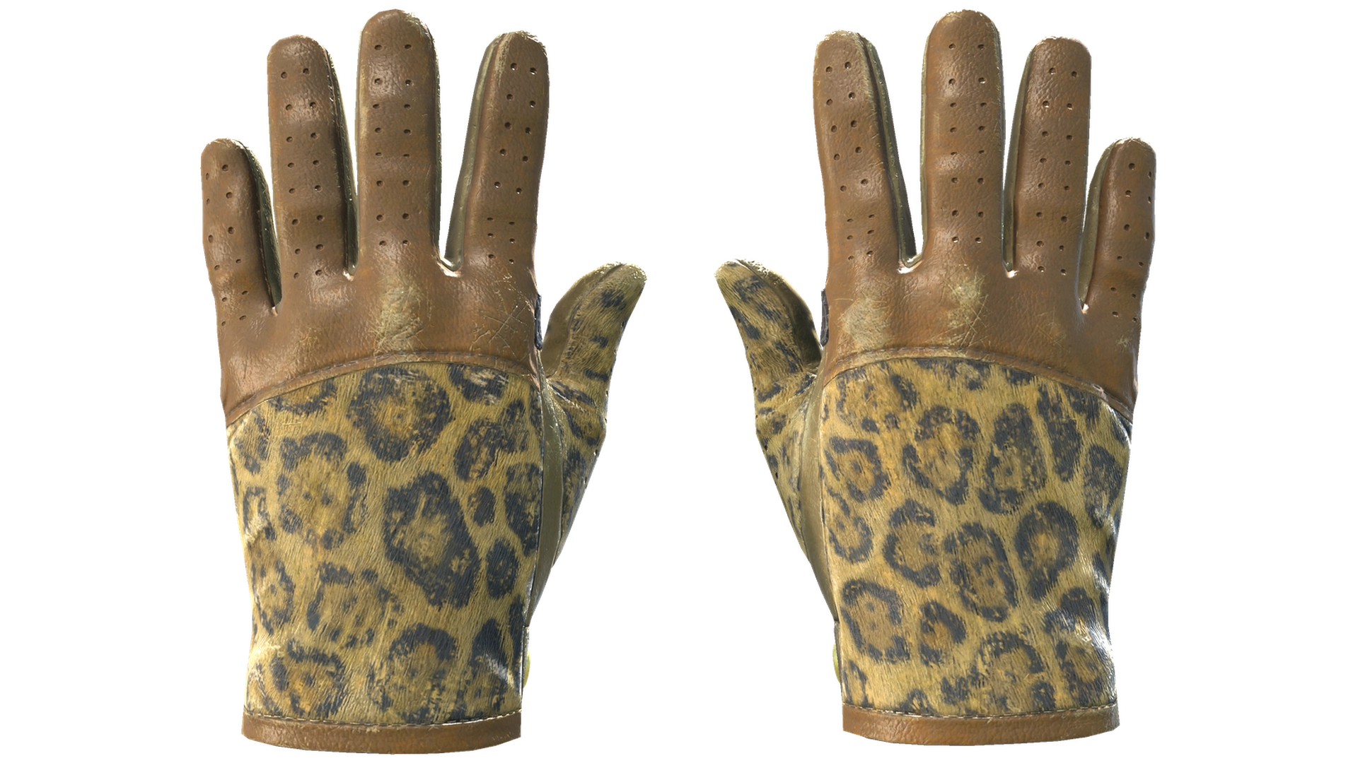 Queen Jaguar image