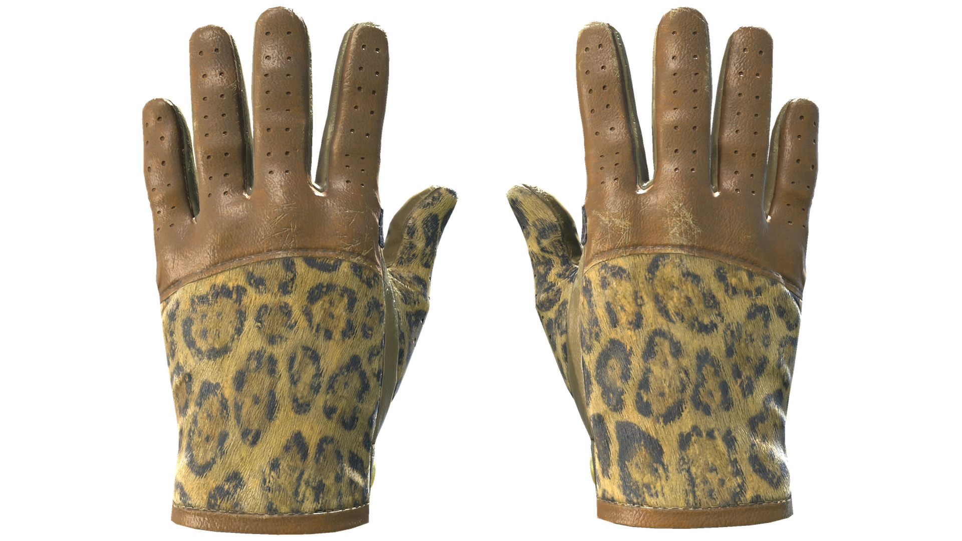 Queen Jaguar image
