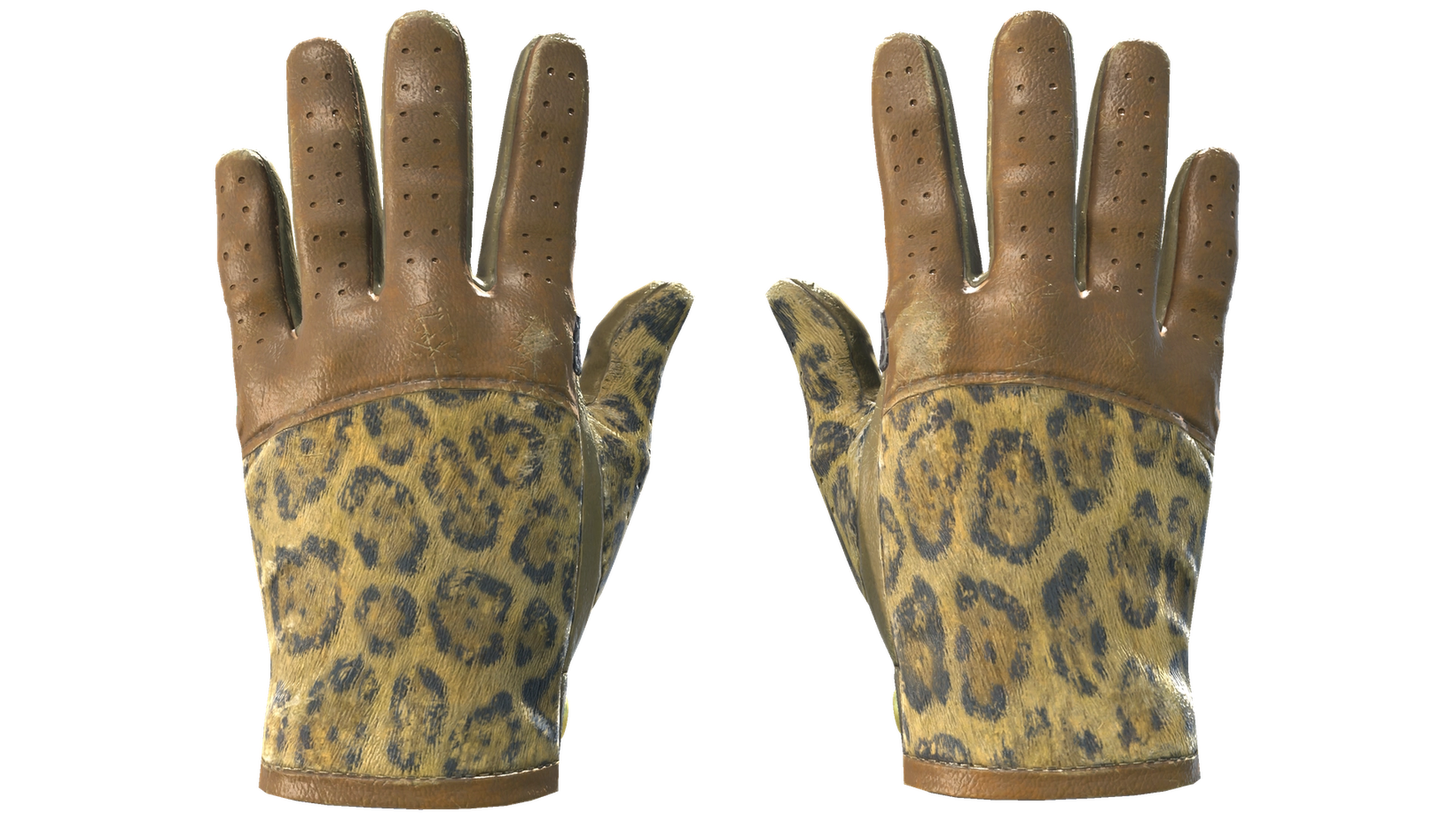 Queen Jaguar image