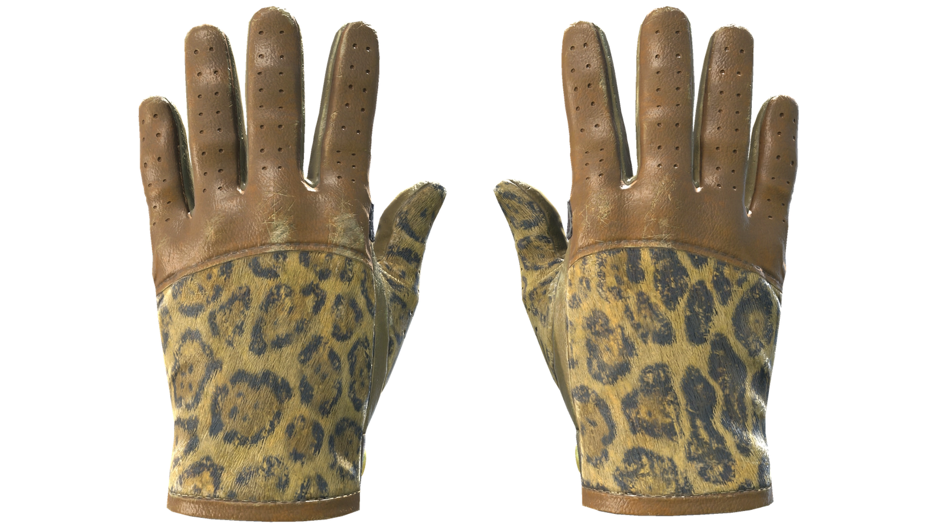 Queen Jaguar image