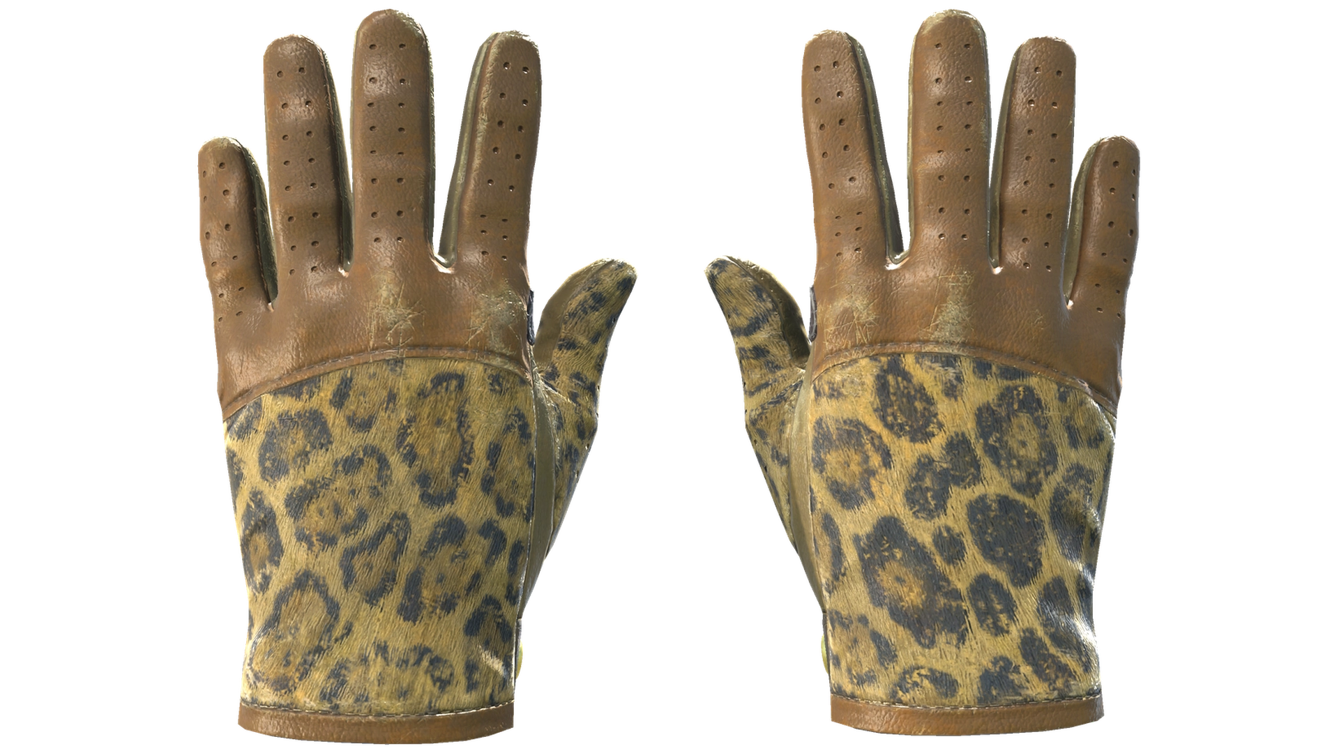 Queen Jaguar image