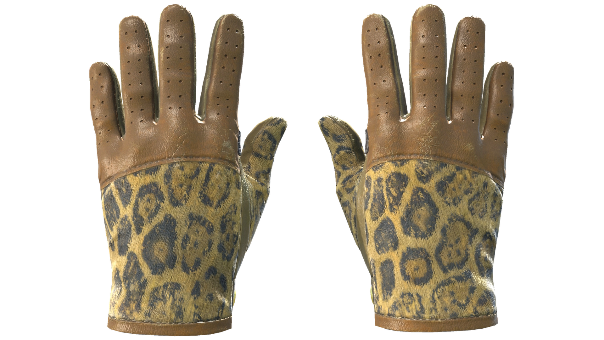 Queen Jaguar image