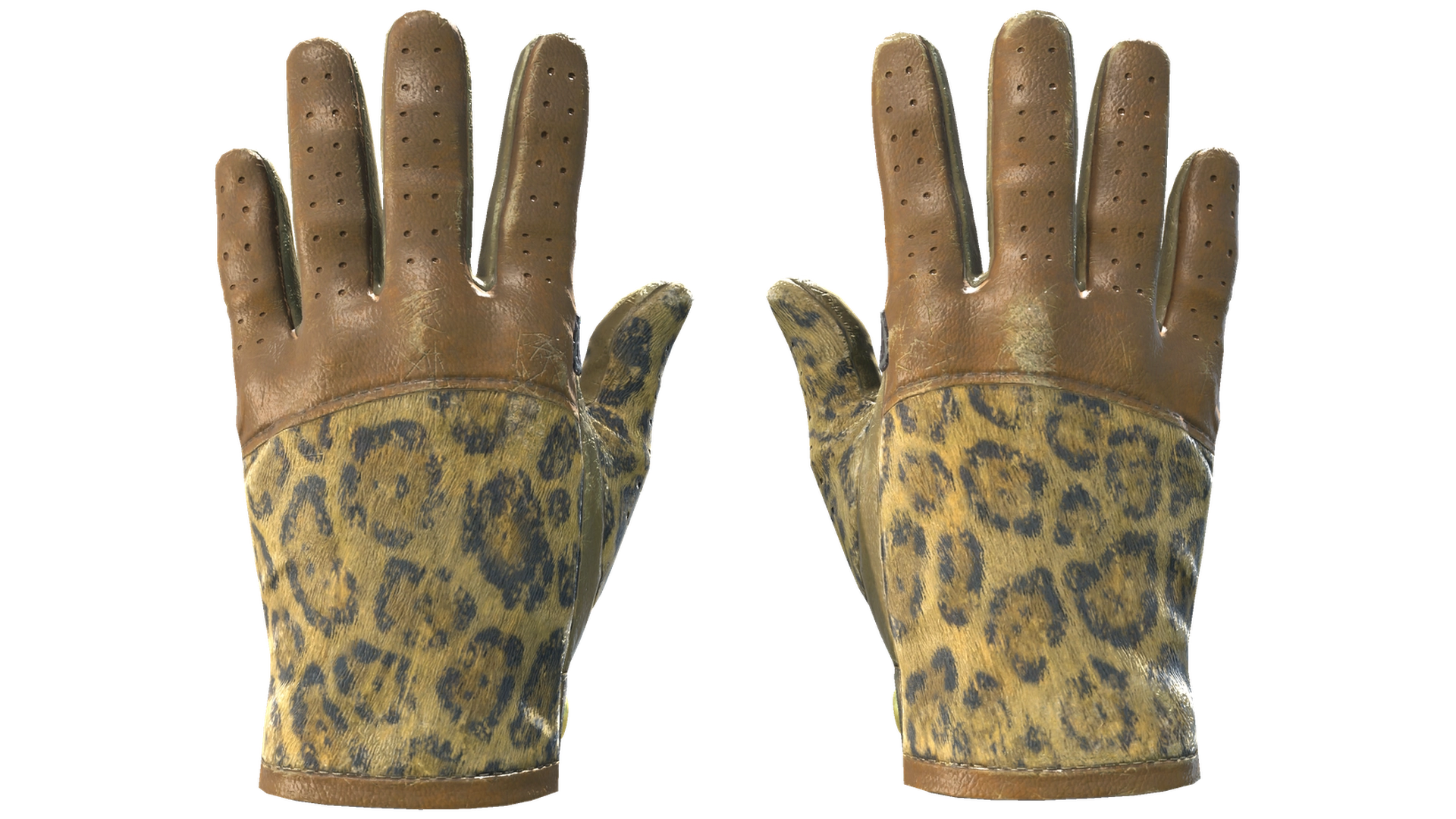 Queen Jaguar image