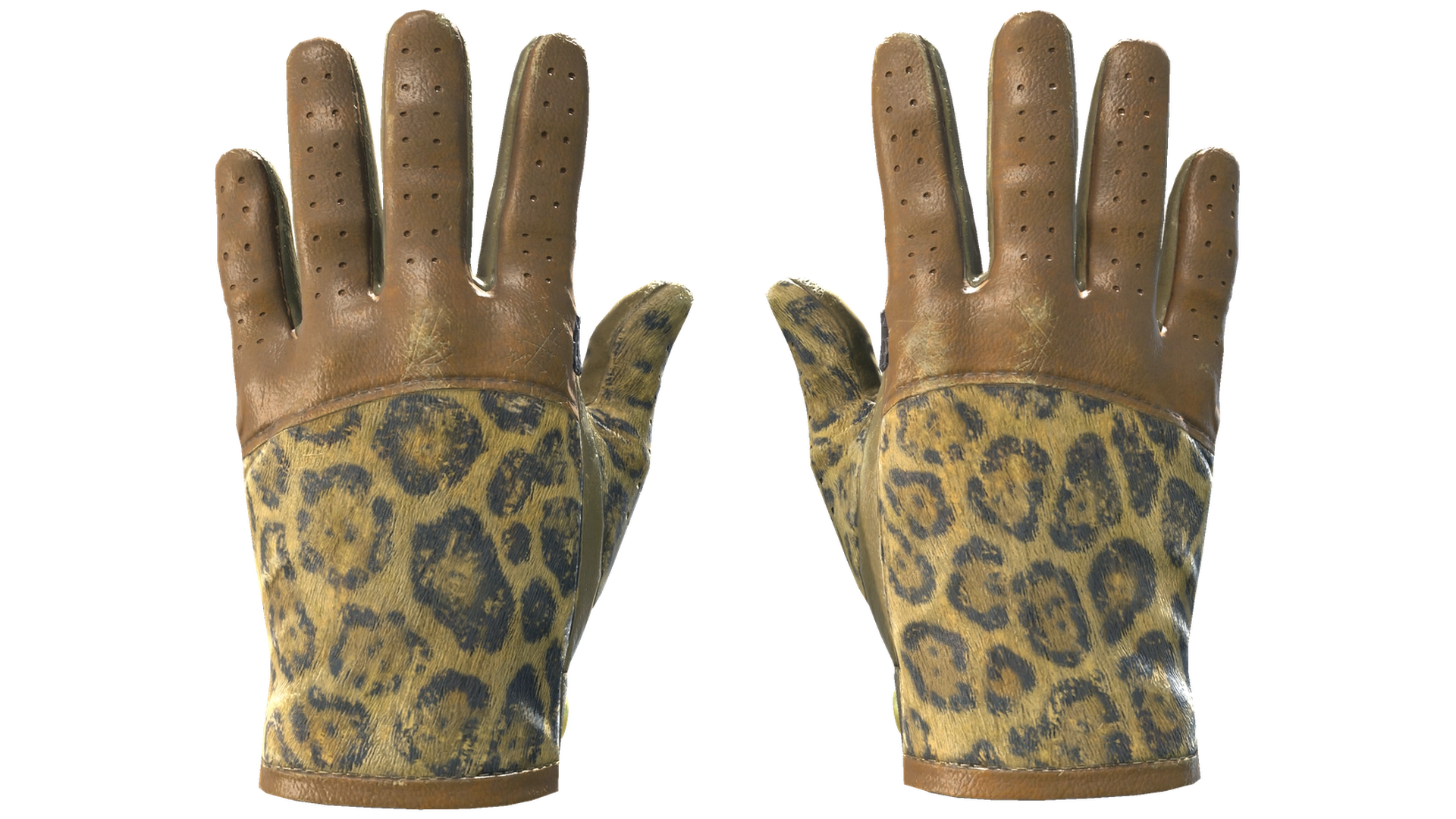 Queen Jaguar image