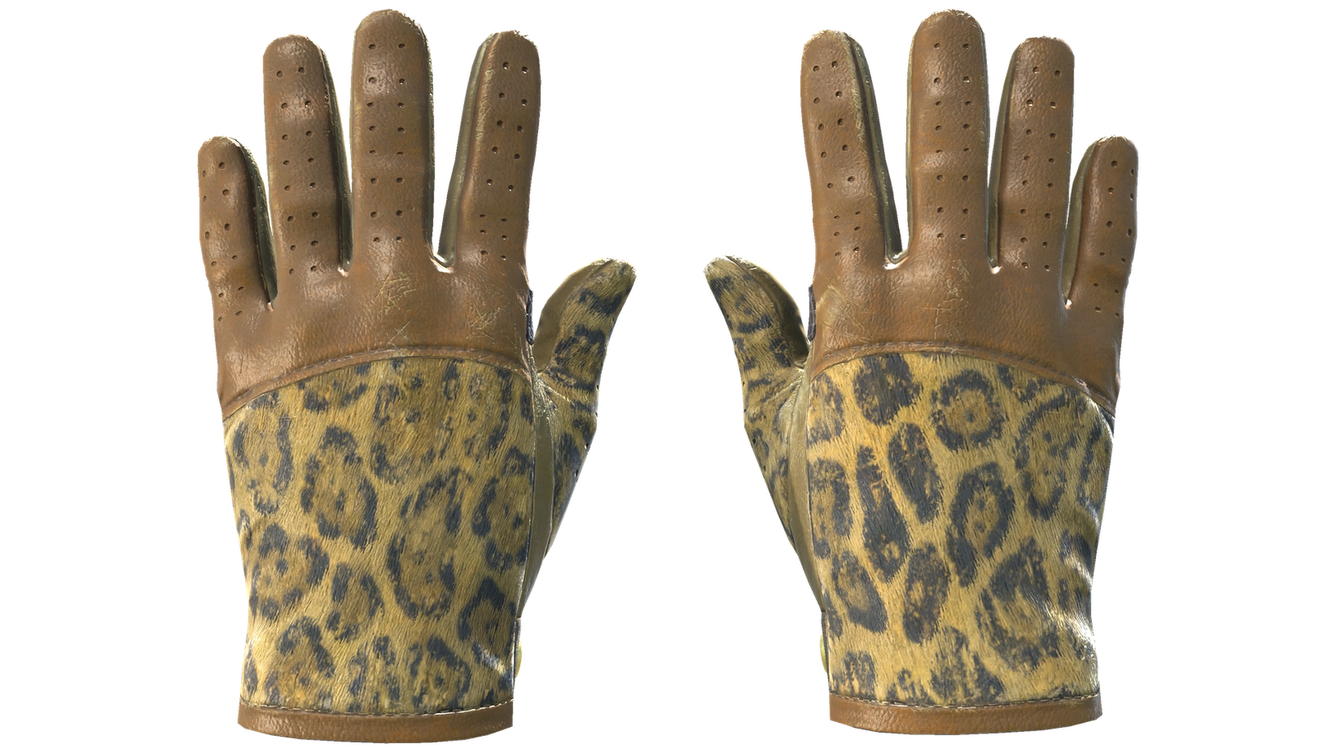 Queen Jaguar image