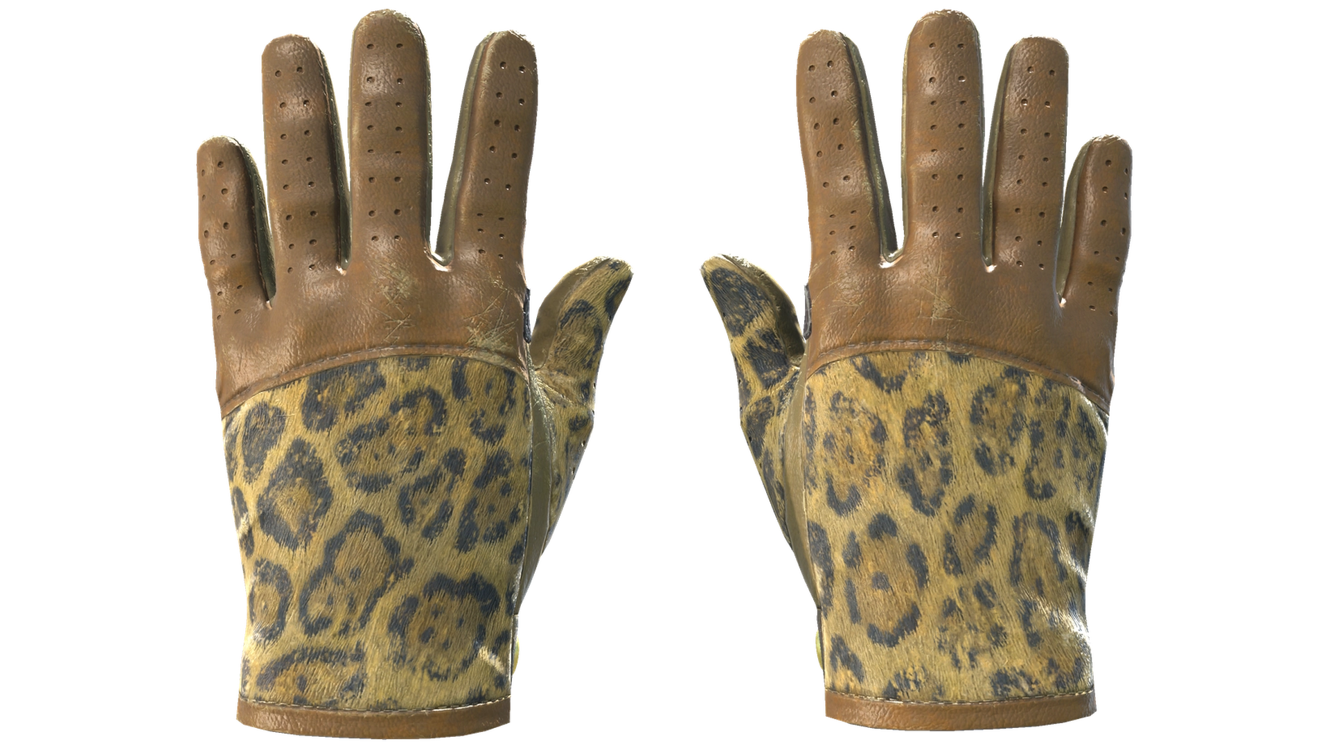 Queen Jaguar image