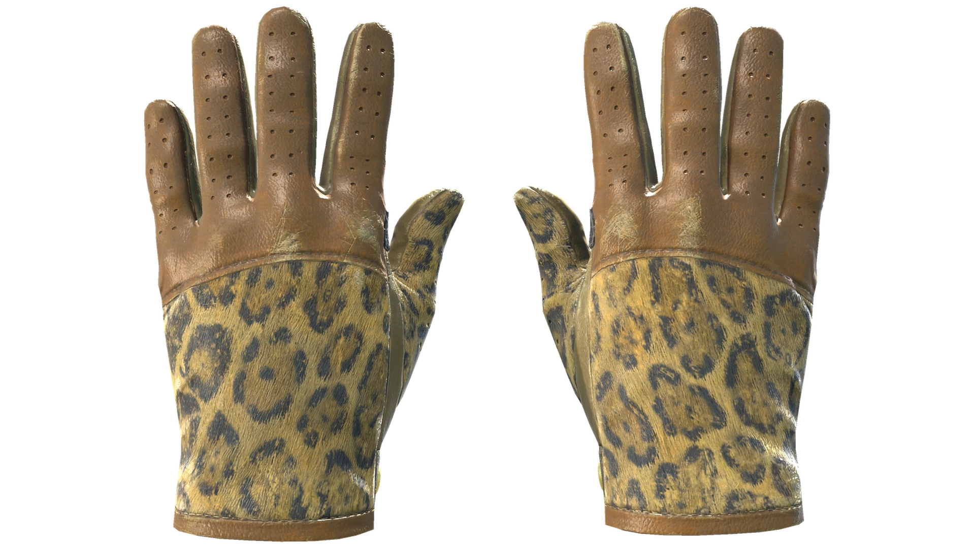 Queen Jaguar image