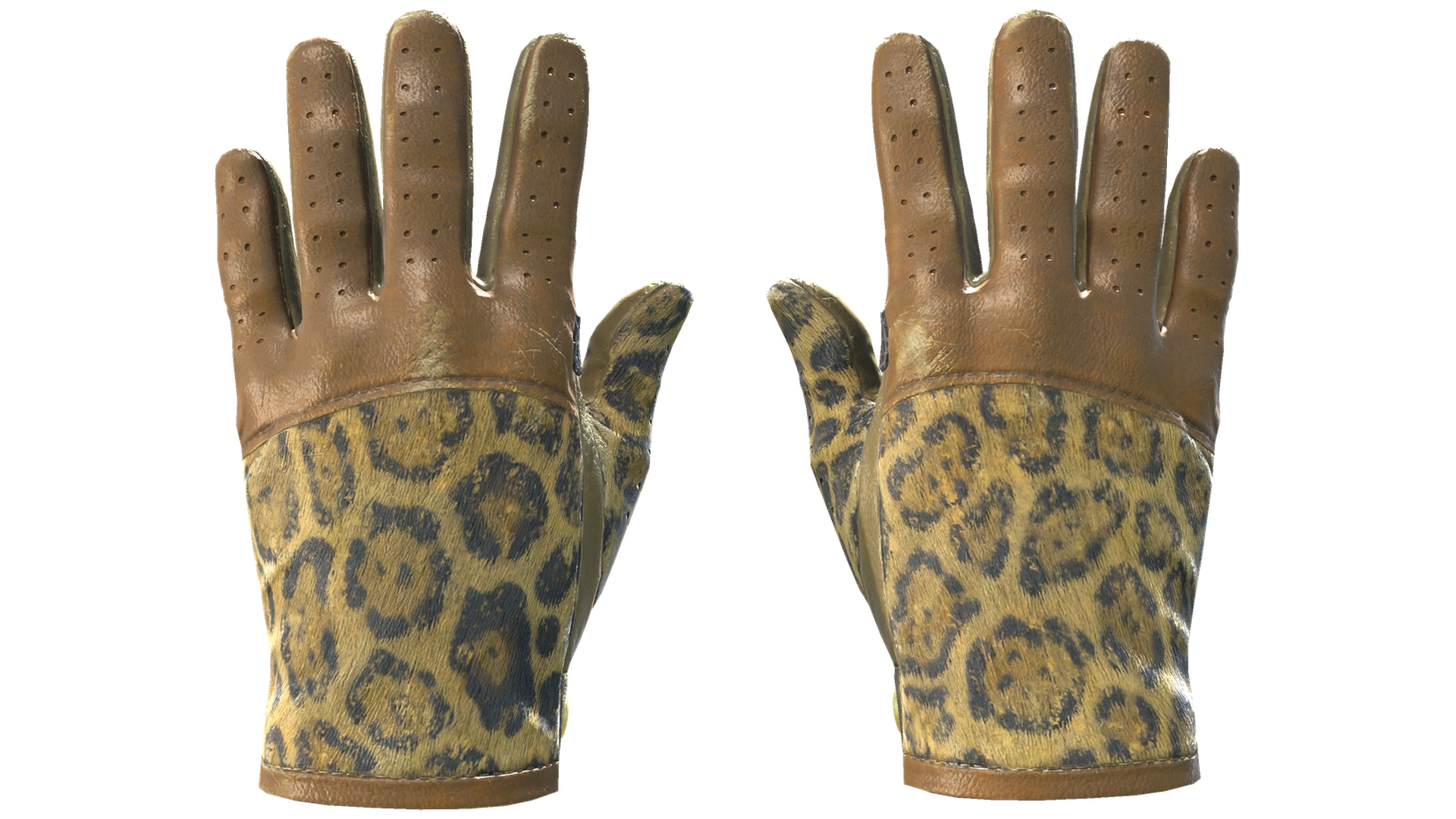 Queen Jaguar image