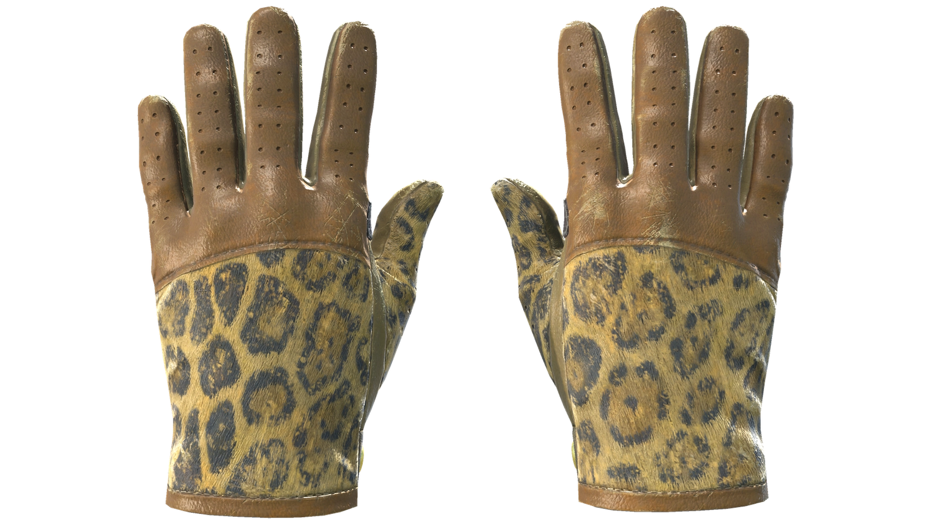 Queen Jaguar image