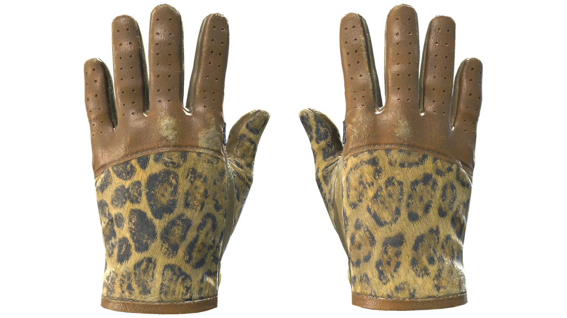 Queen Jaguar image