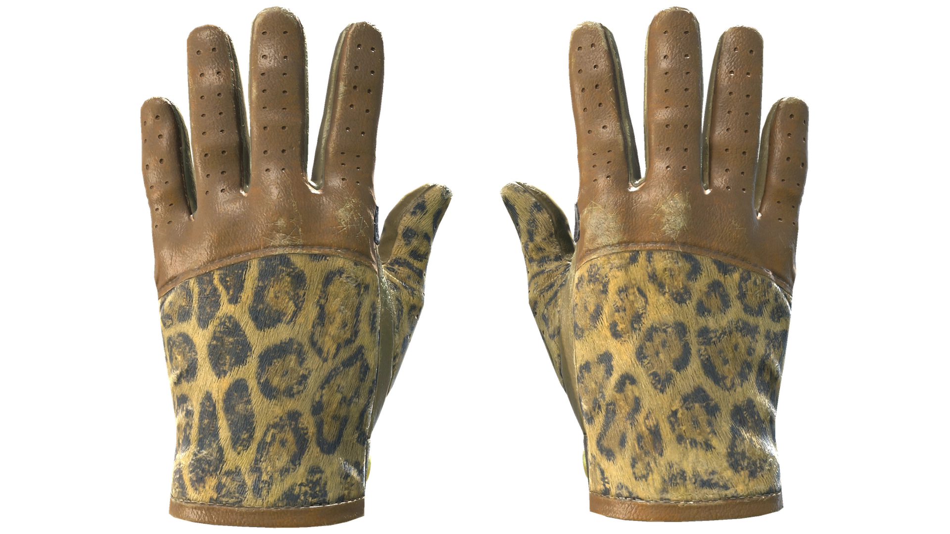 Queen Jaguar image