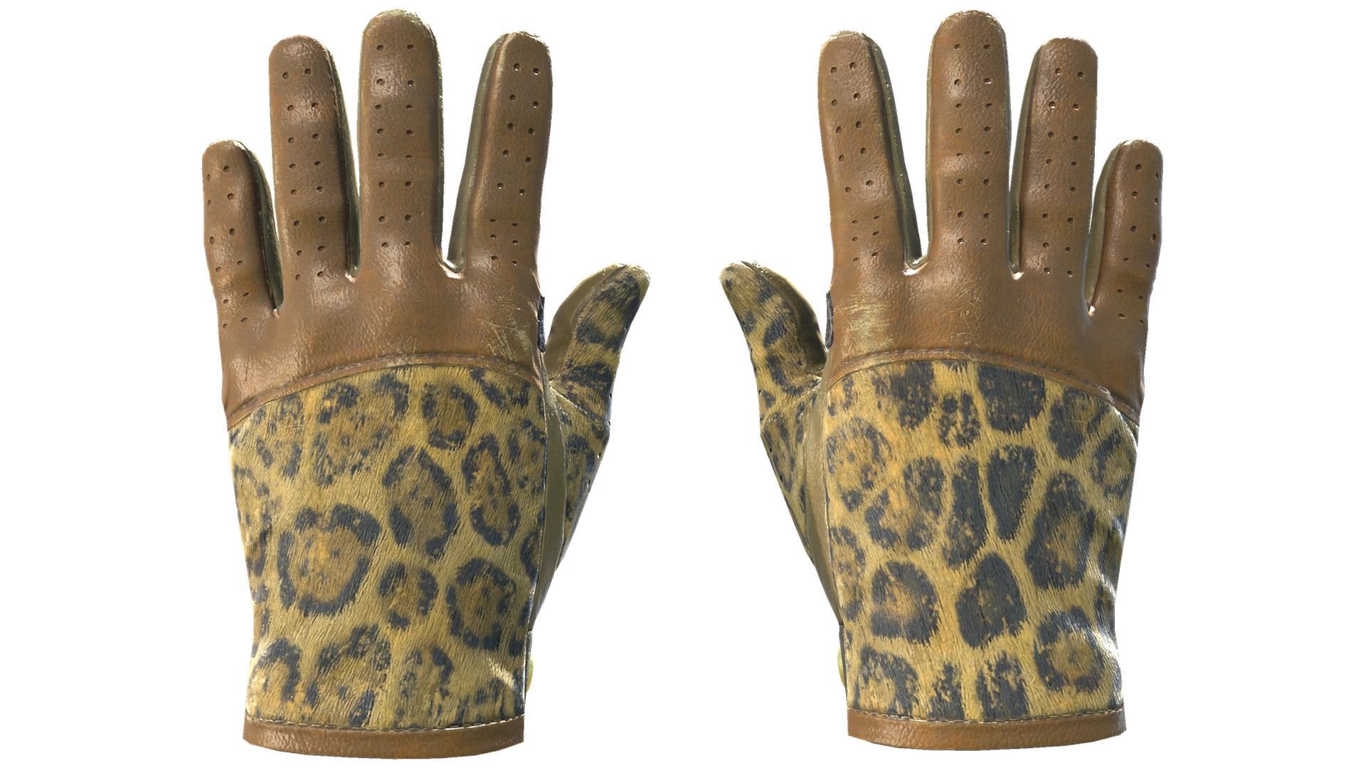 Queen Jaguar image