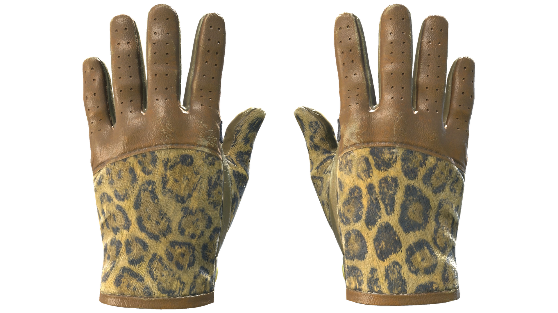 Queen Jaguar image