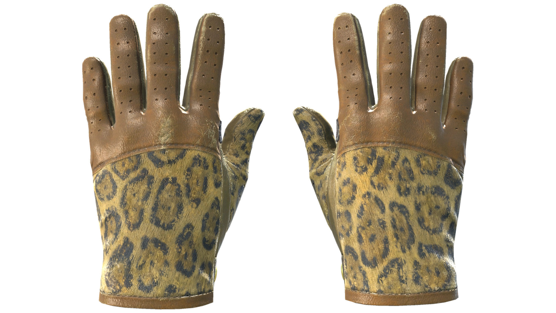 Queen Jaguar image