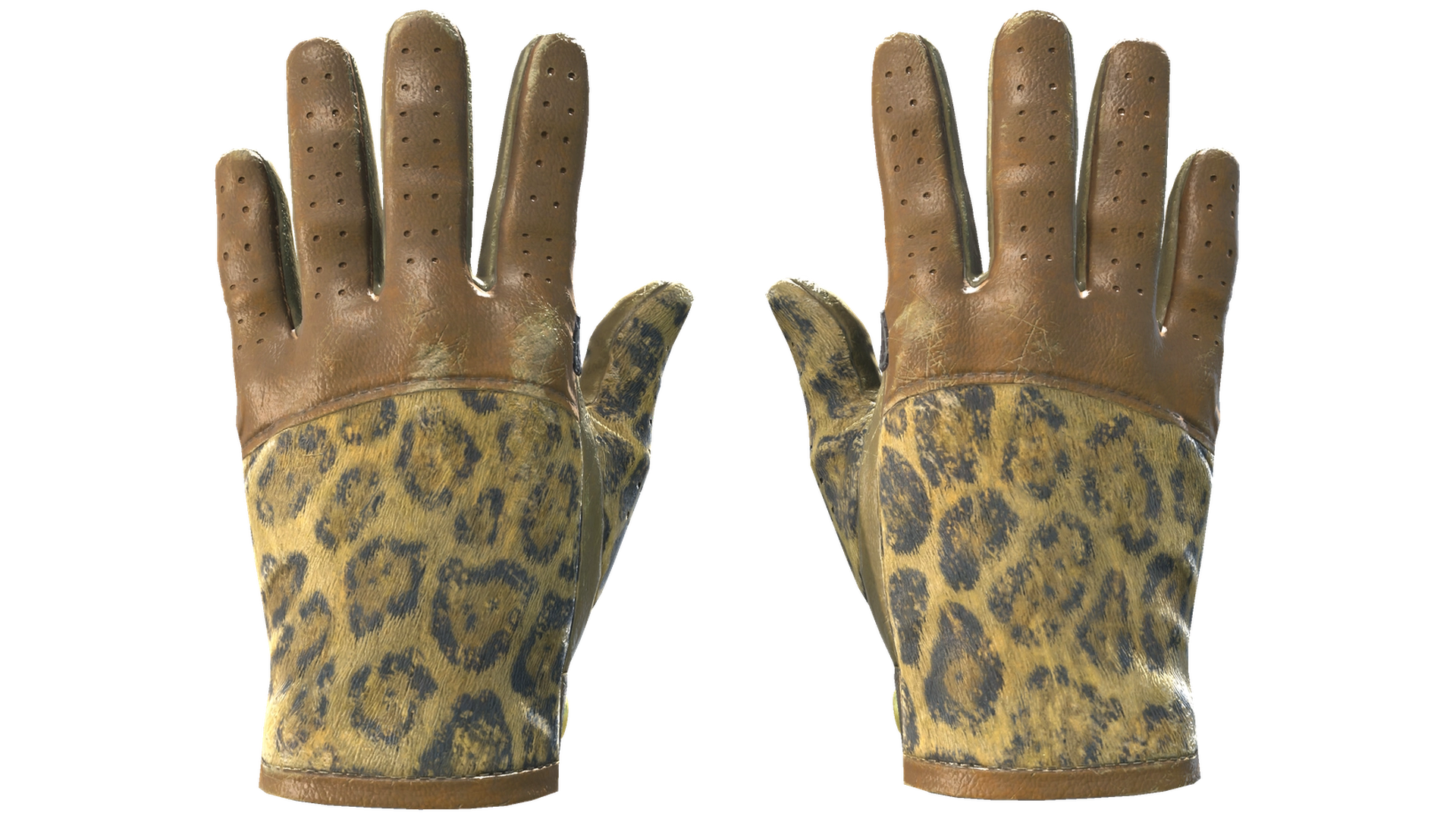 Queen Jaguar image