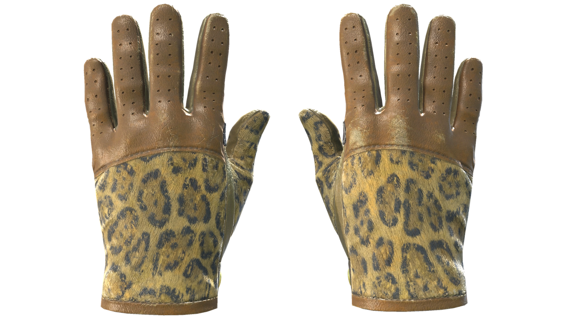 Queen Jaguar image