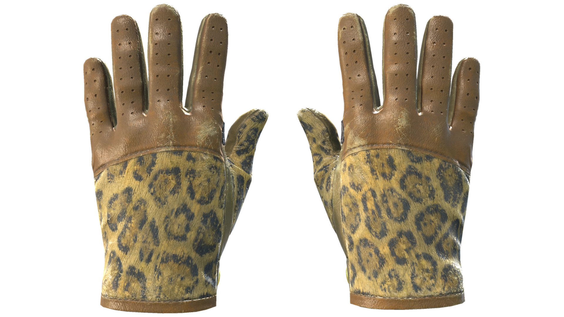 Queen Jaguar image
