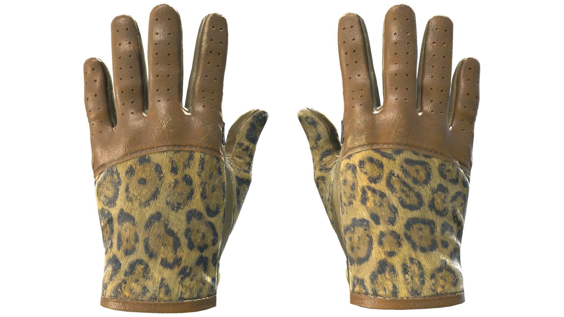 Queen Jaguar image
