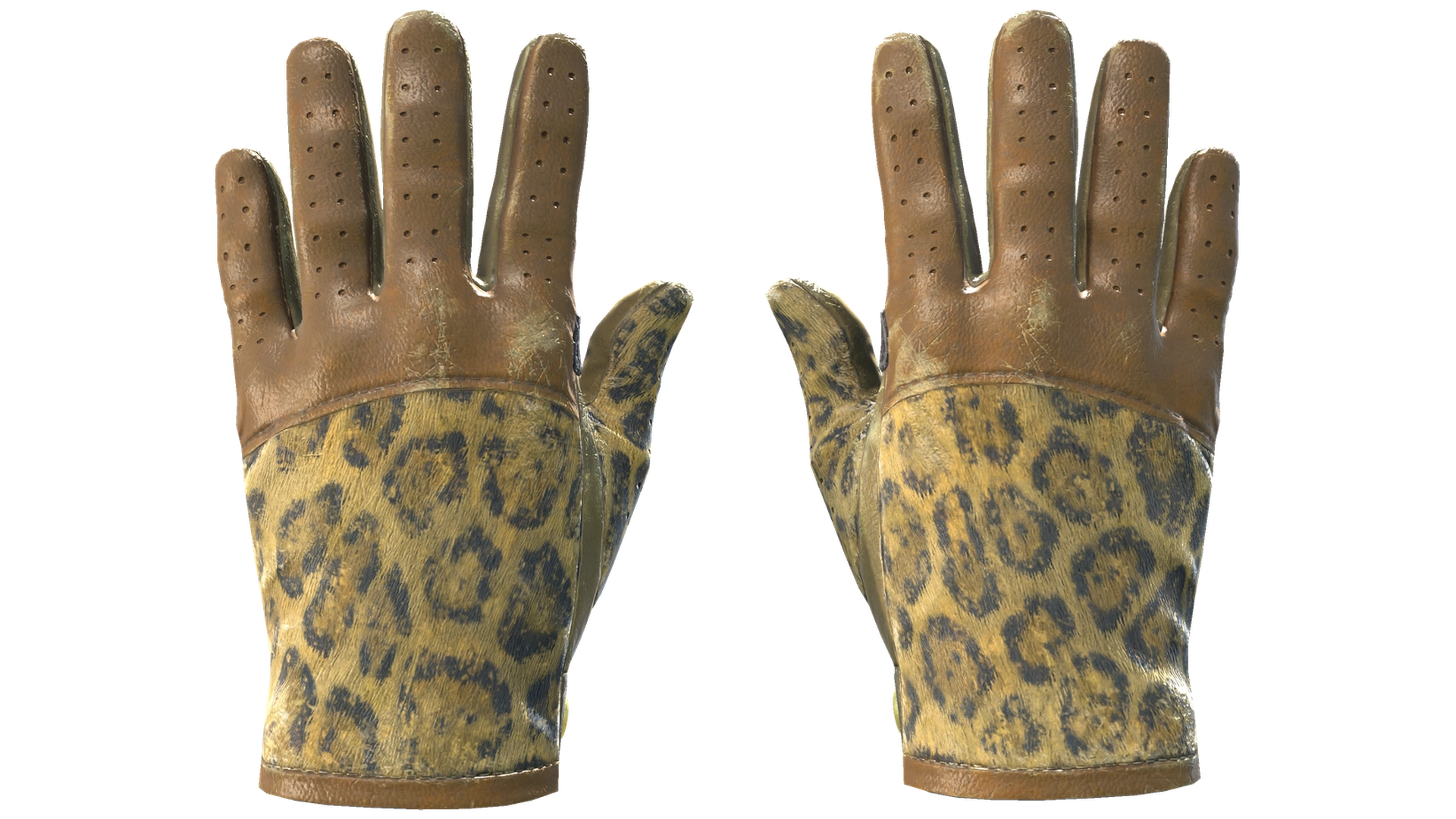 Queen Jaguar image