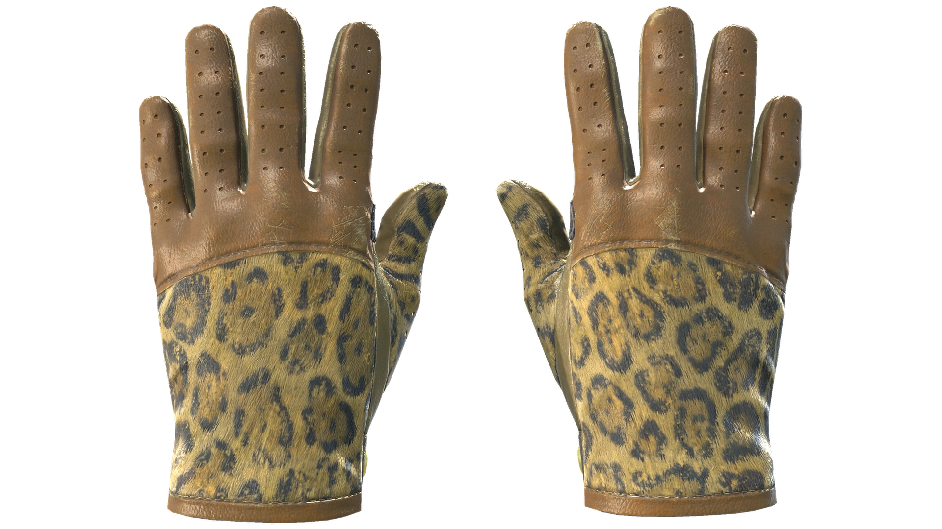 Queen Jaguar image