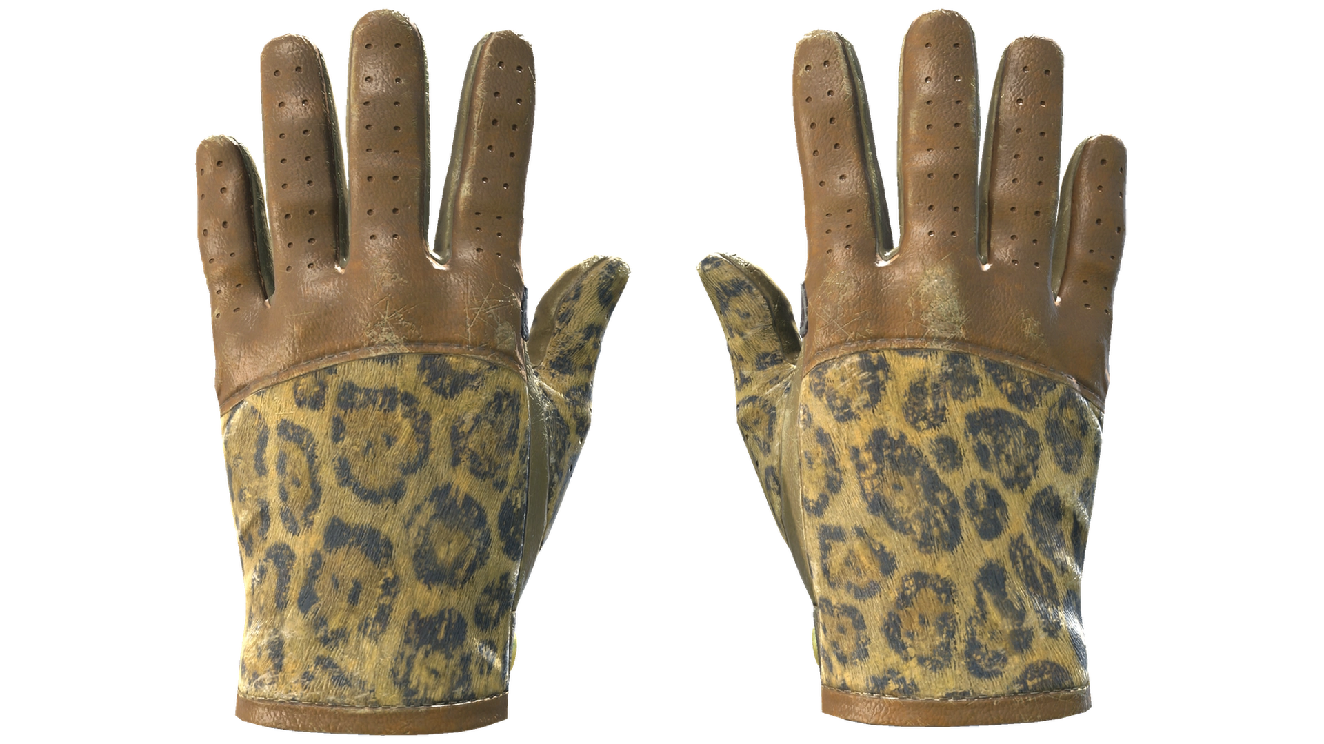 Queen Jaguar image