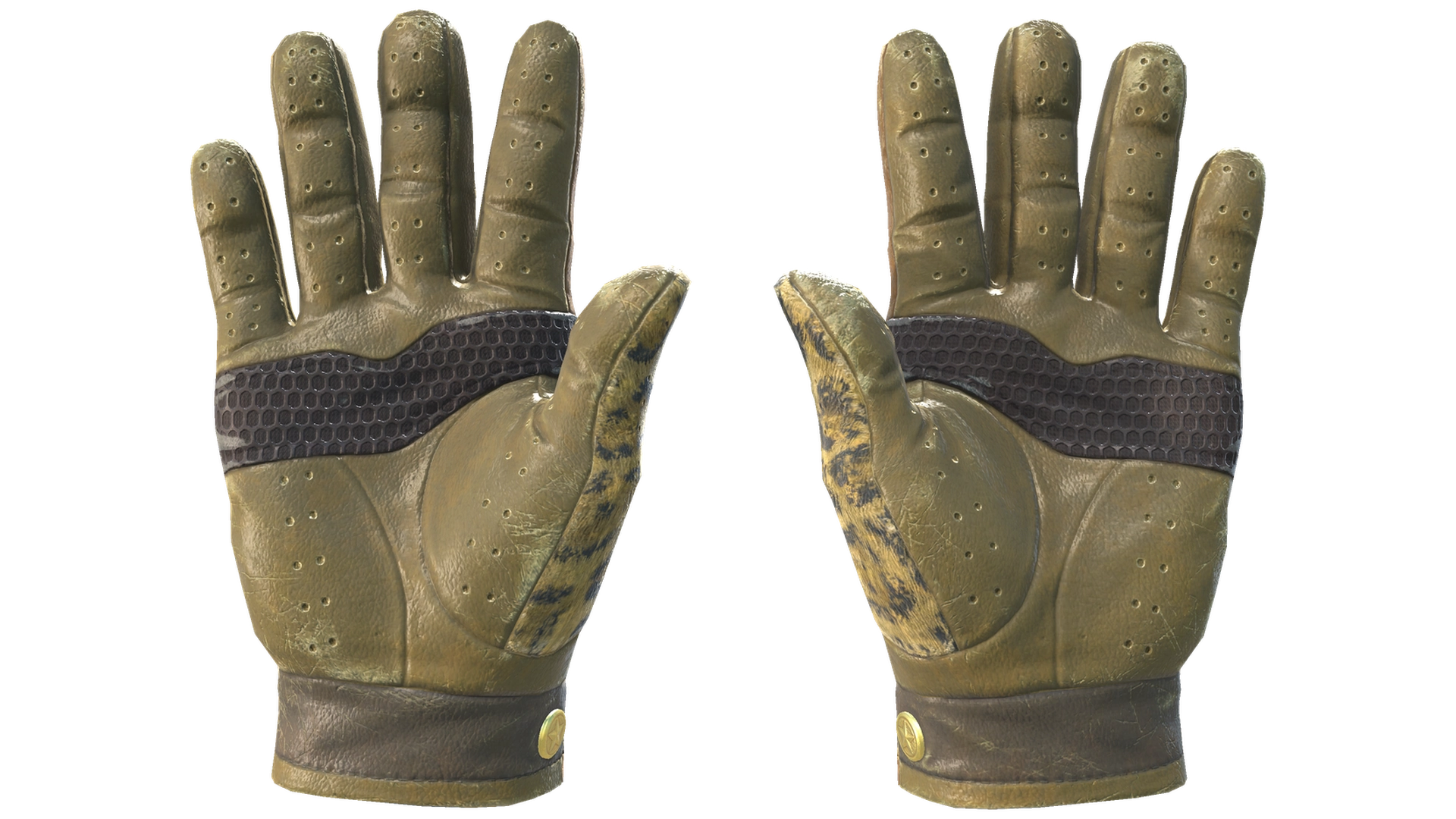 Queen Jaguar image