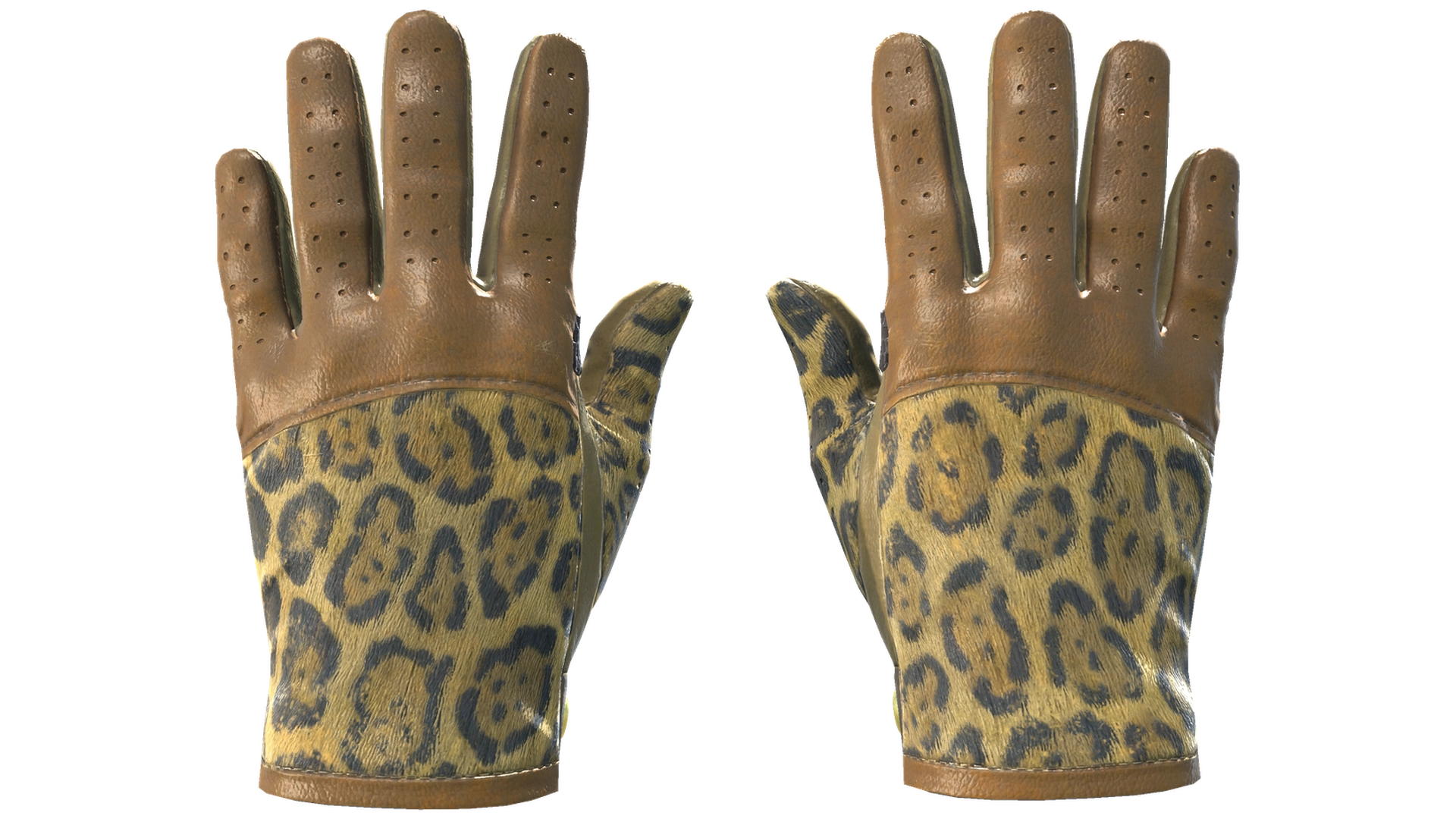 Queen Jaguar image