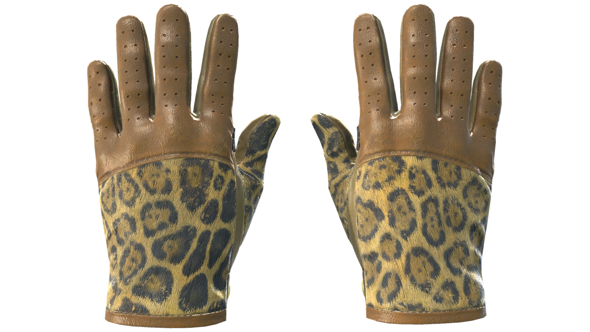 Queen Jaguar image