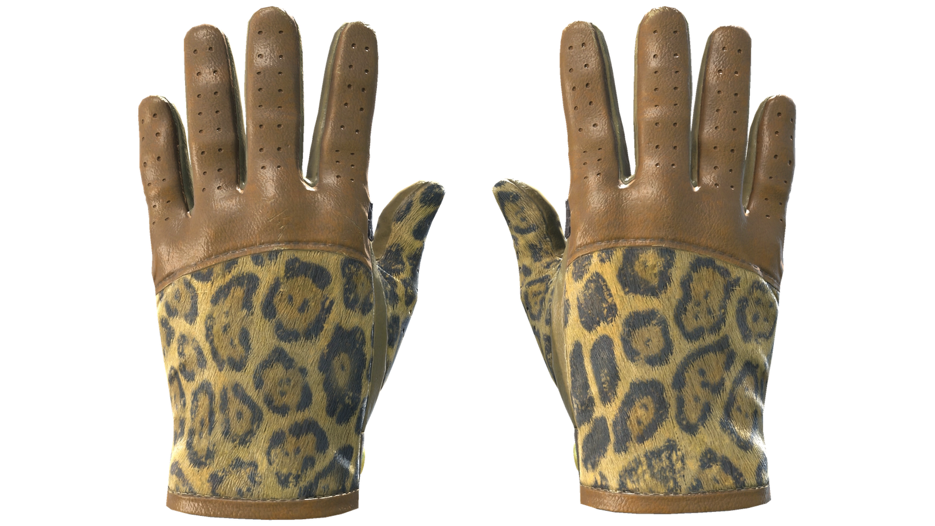 Queen Jaguar image