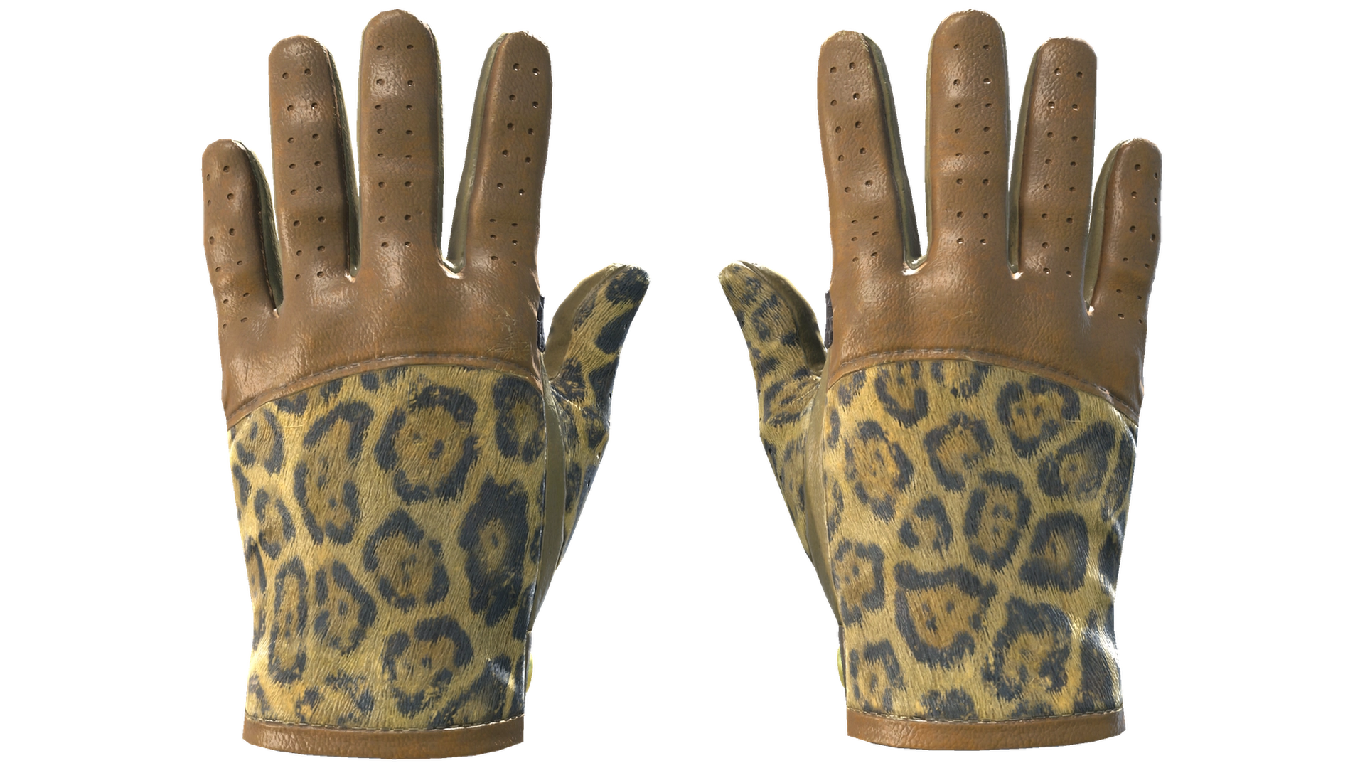 Queen Jaguar image