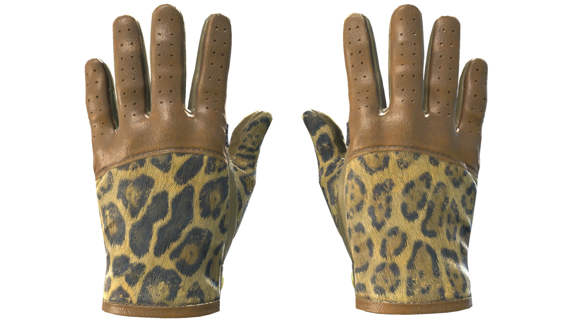 Queen Jaguar image
