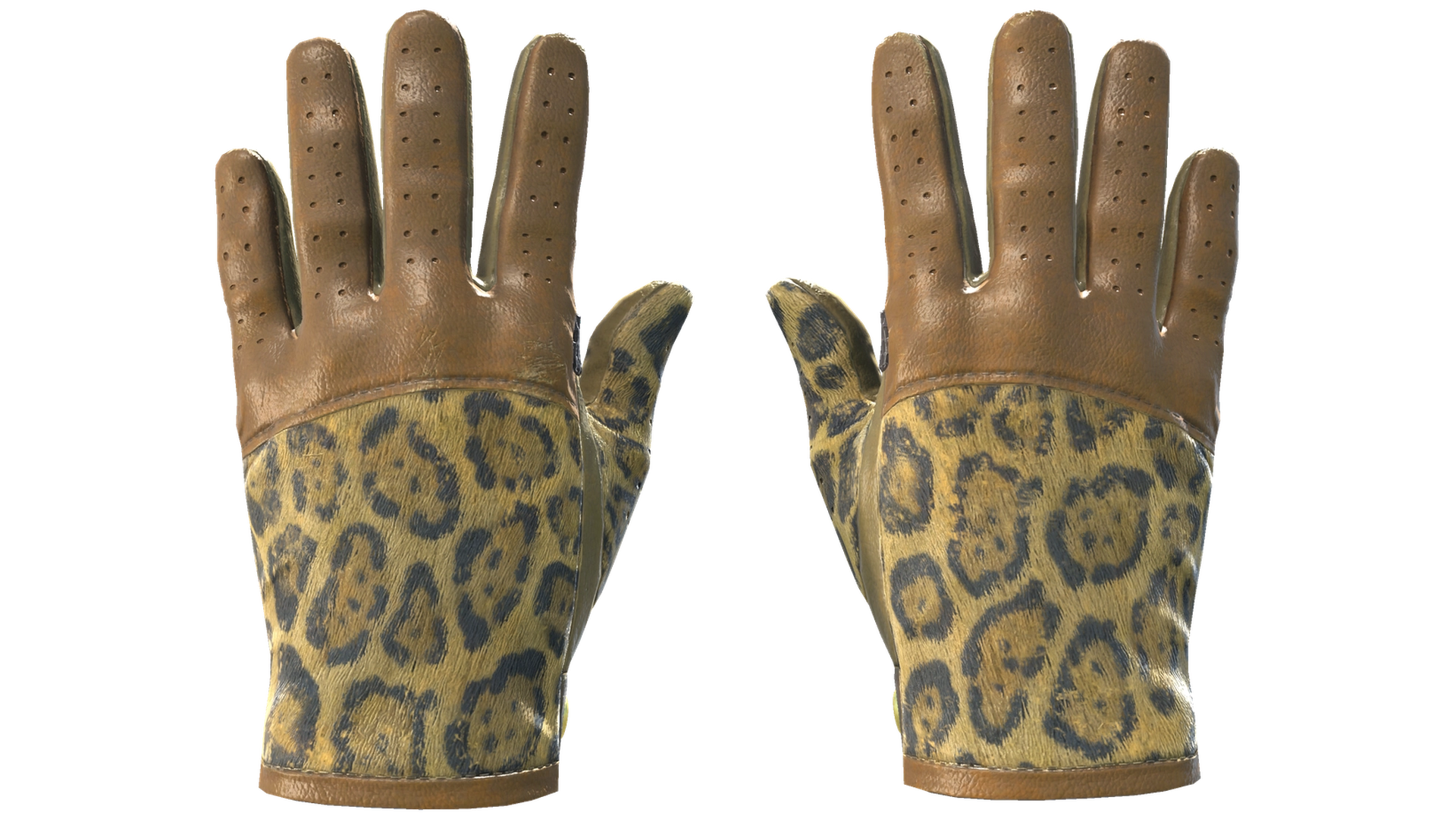 Queen Jaguar image