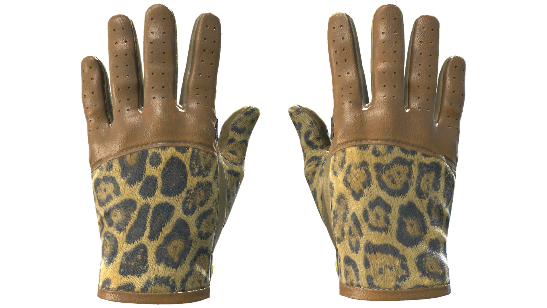 Queen Jaguar image