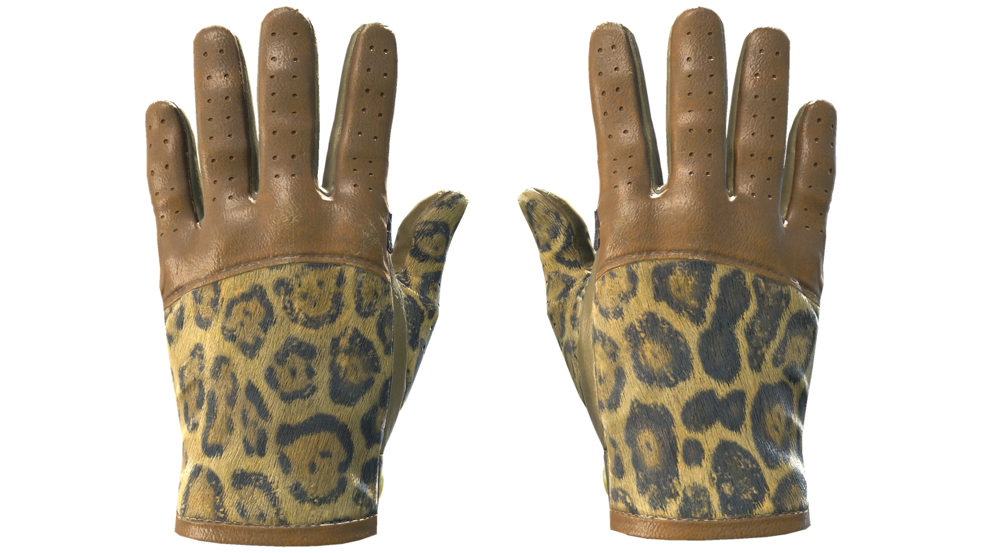 Queen Jaguar image