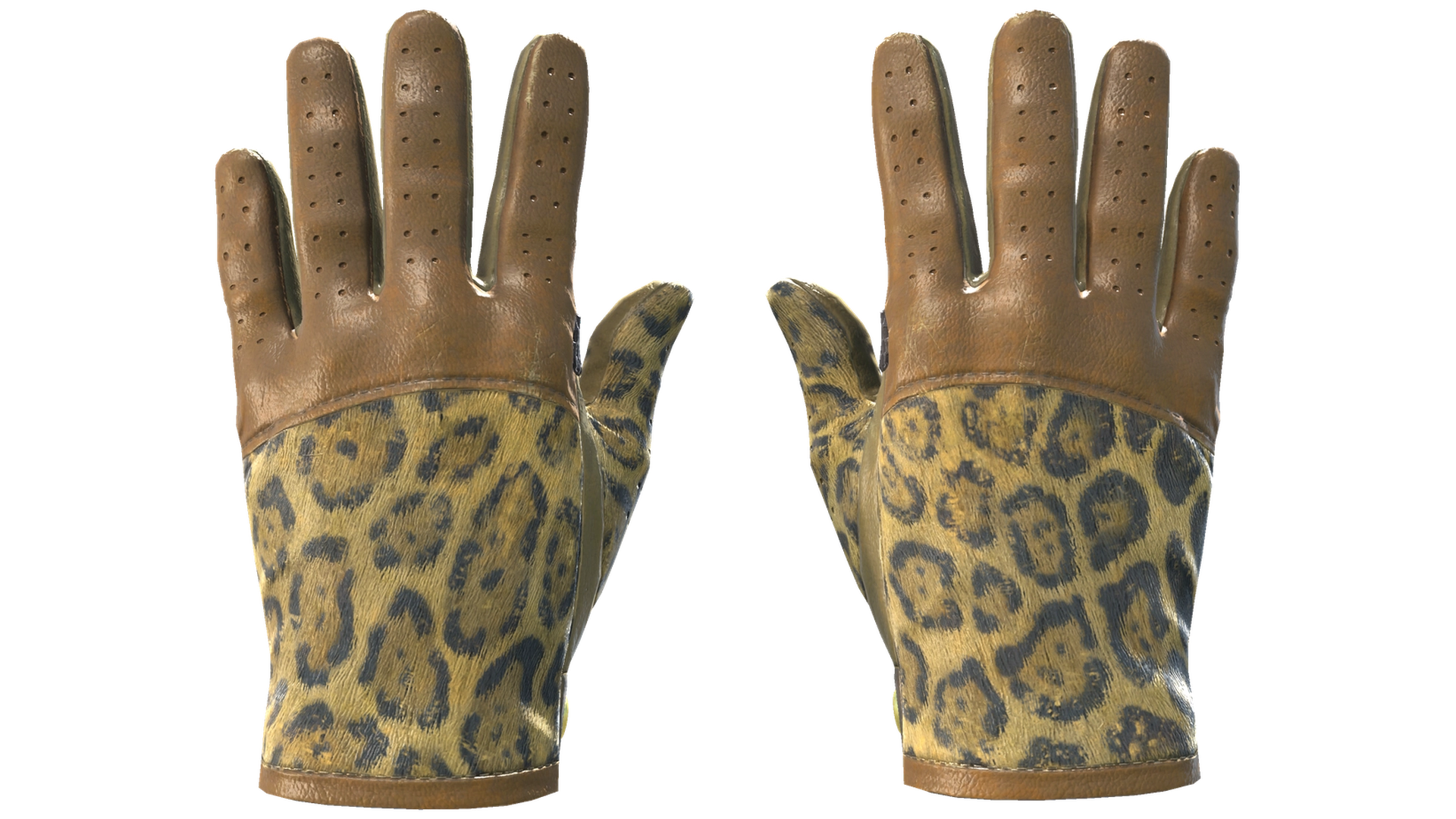 Queen Jaguar image