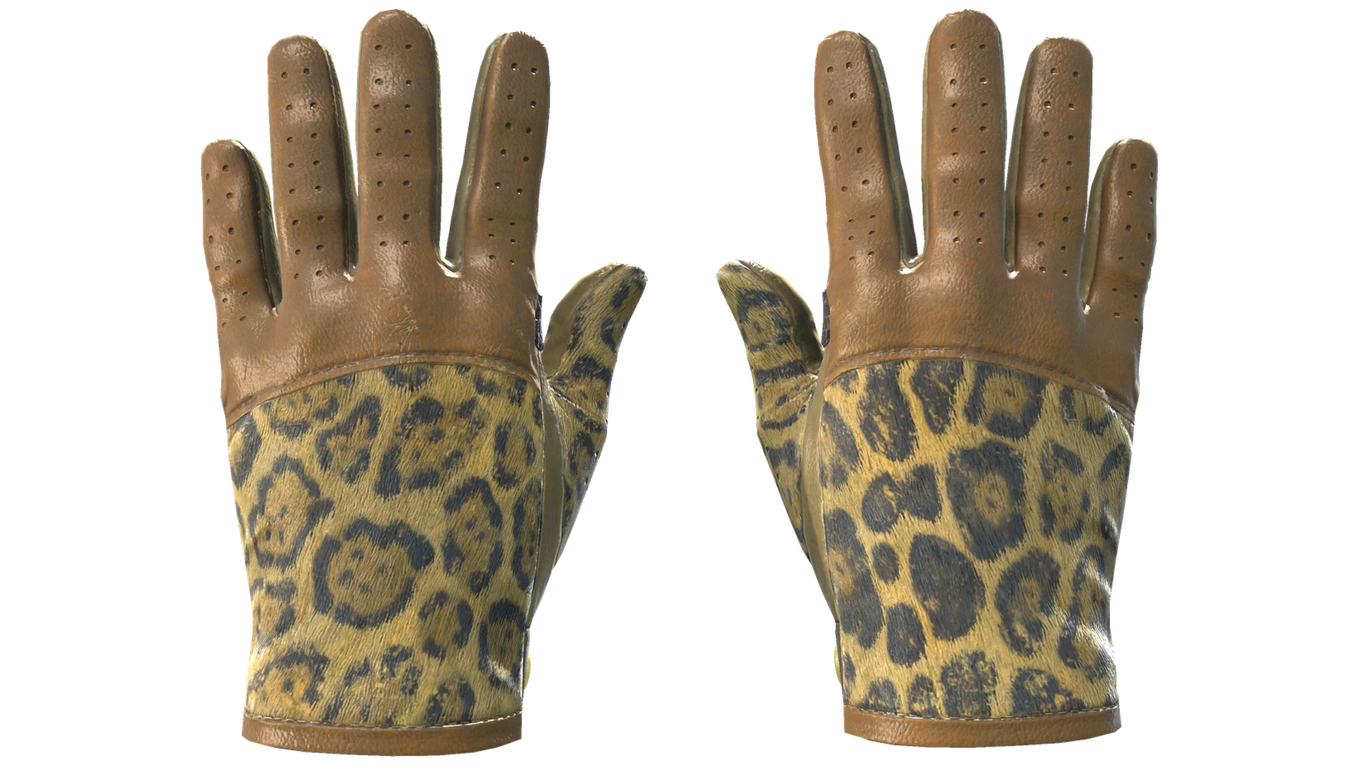 Queen Jaguar image