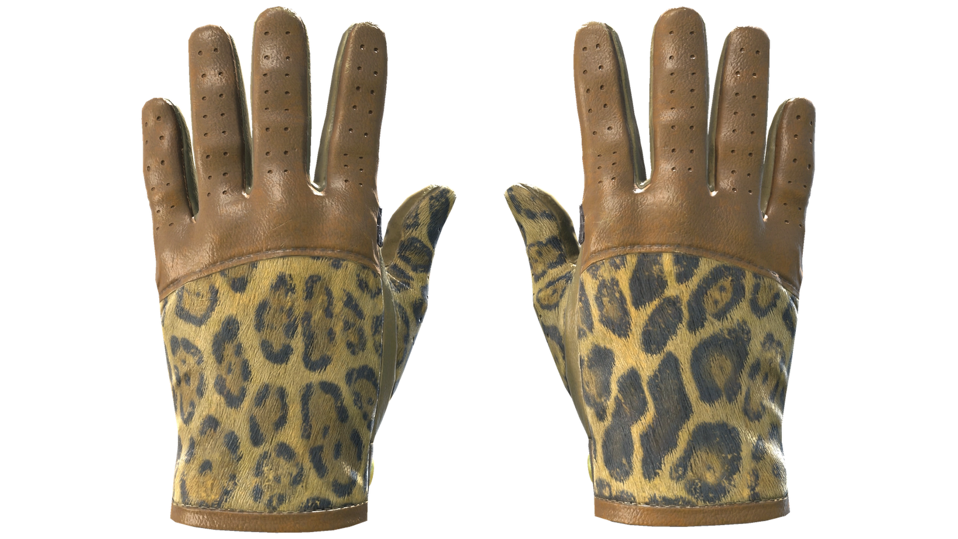 Queen Jaguar image