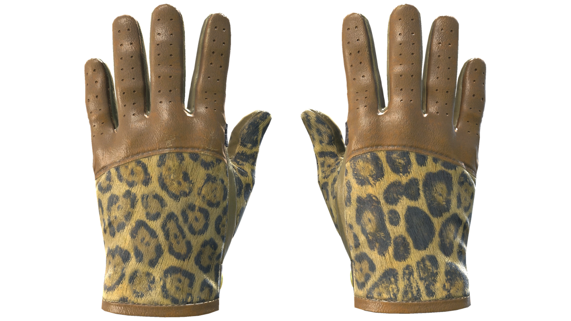 Queen Jaguar image
