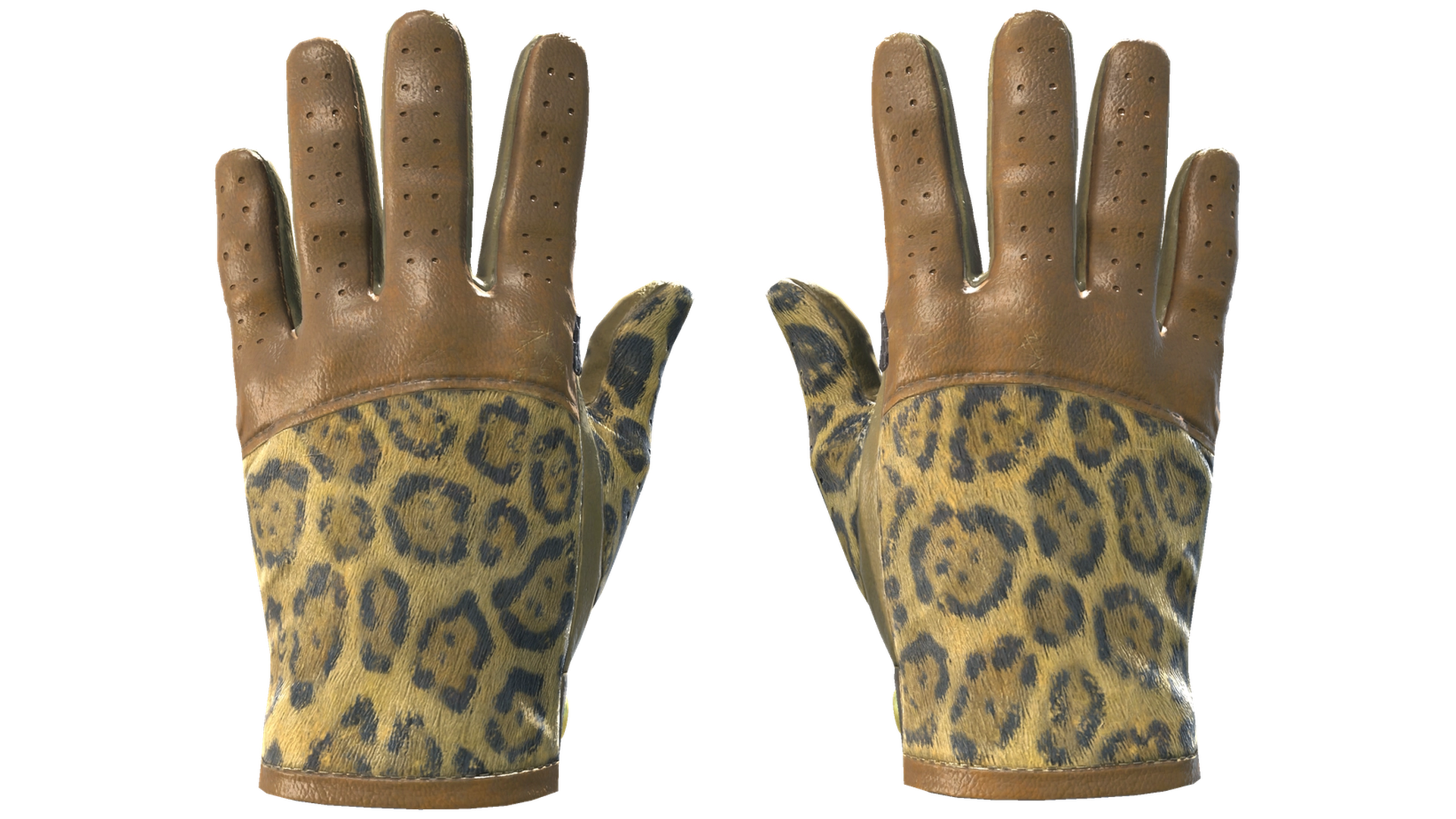 Queen Jaguar image