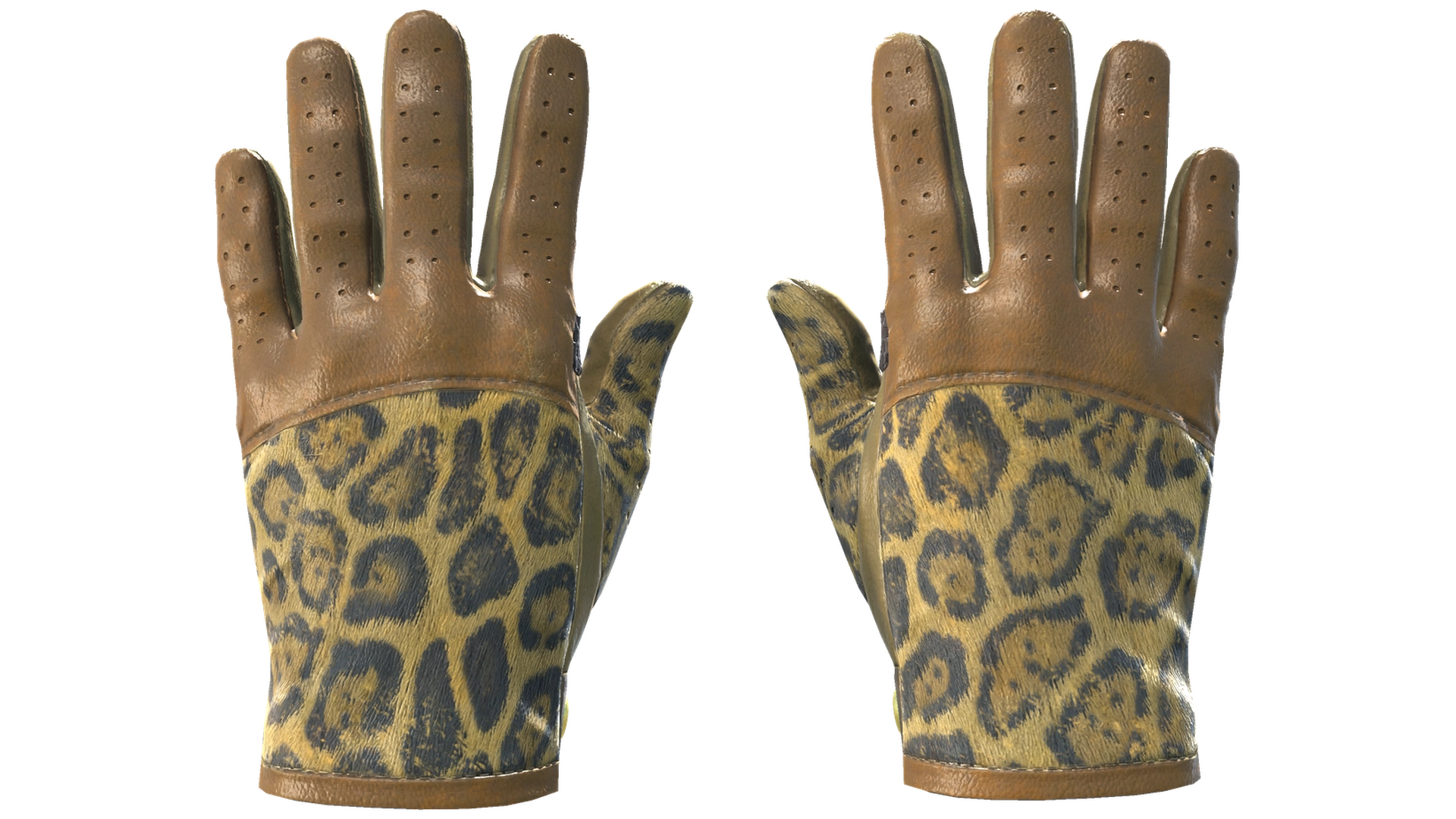 Queen Jaguar image
